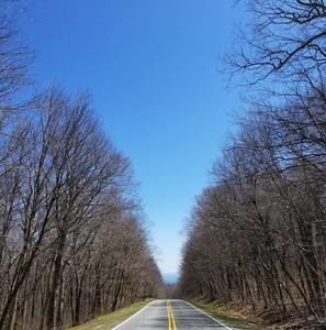 Meet your Posher, Sean